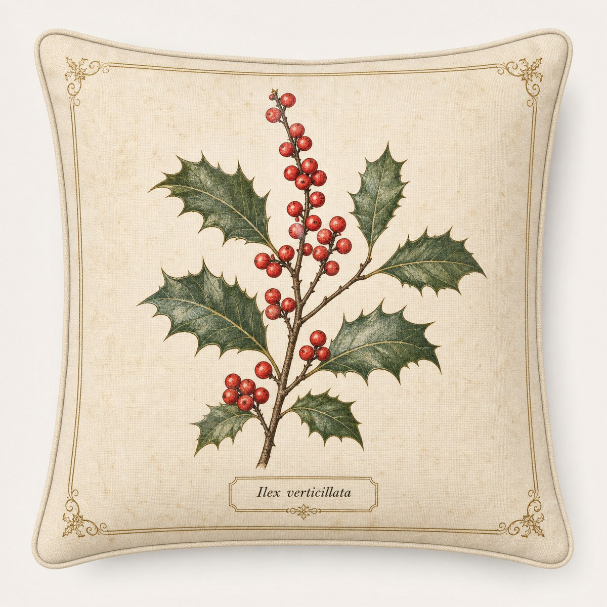 Winterberry Specimen